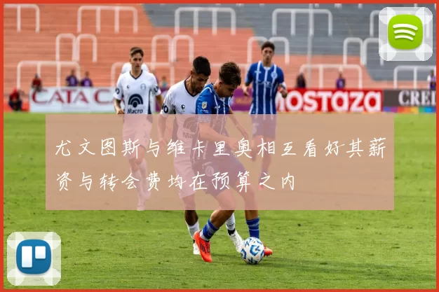 尤文图斯与维卡里奥相互看好其薪资与转会费均在预算之内